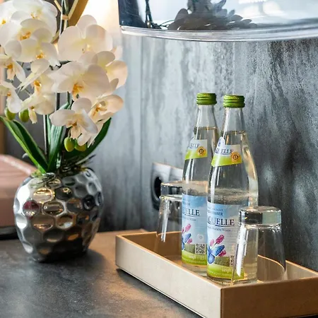 Plaza Premium Parkhotel 4* 뉴울름