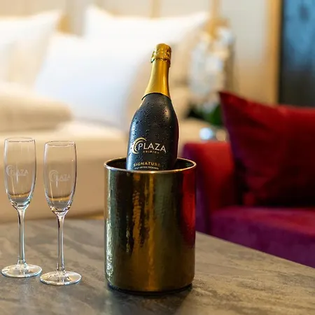 Plaza Premium Parkhotel 뉴울름
