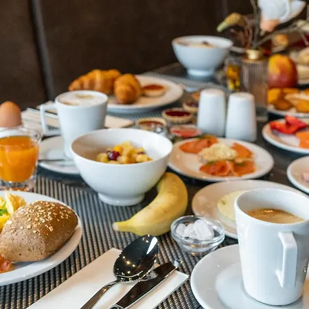 Plaza Premium Parkhotel 뉴울름
