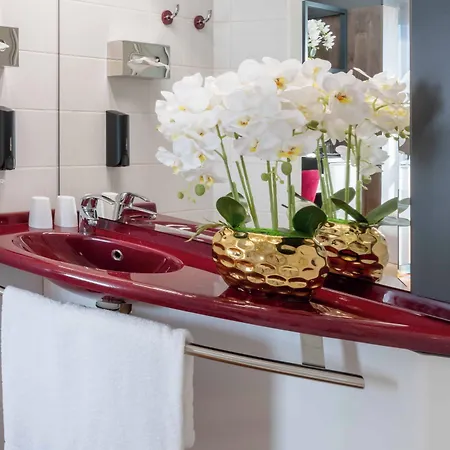 Plaza Premium Parkhotel 4* 뉴울름